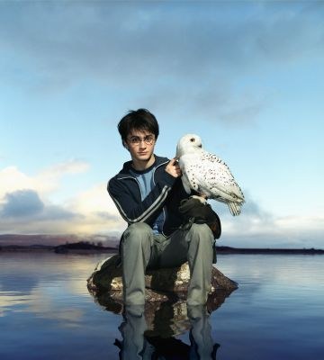 Harry Potter et le Prince de sang-mêlé